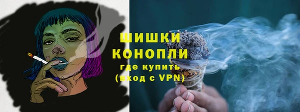 дживик Сосновый Бор