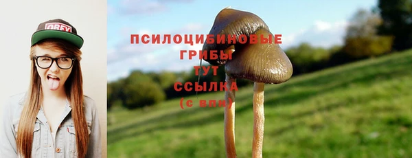 гидра Сосновка