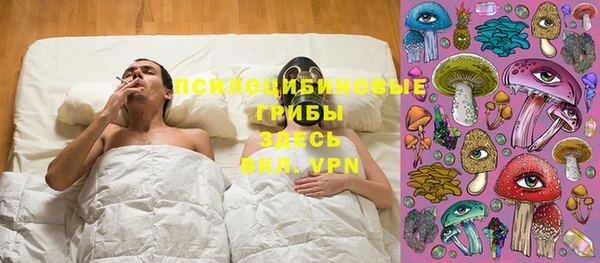 гидра Сосновка
