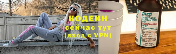 дживик Сосновый Бор