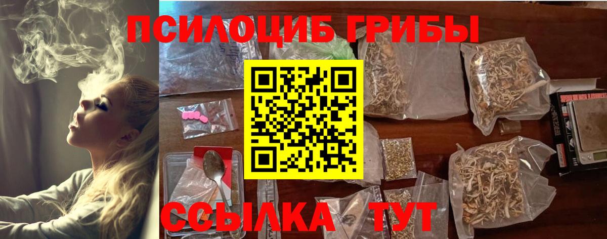 Псилоцибиновые грибы Psilocybine cubensis Иваново
