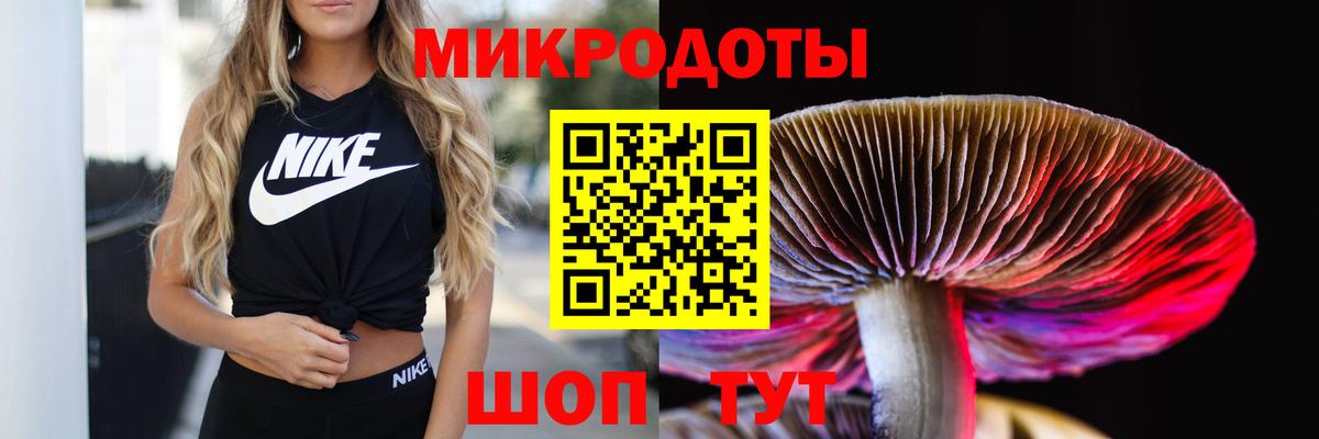 Галлюциногенные грибы GOLDEN TEACHER  Псилоцибиновые грибы Magic Shrooms  Иваново  Вход с VPN 